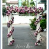 Cong hoa tim hong 1A.jpg